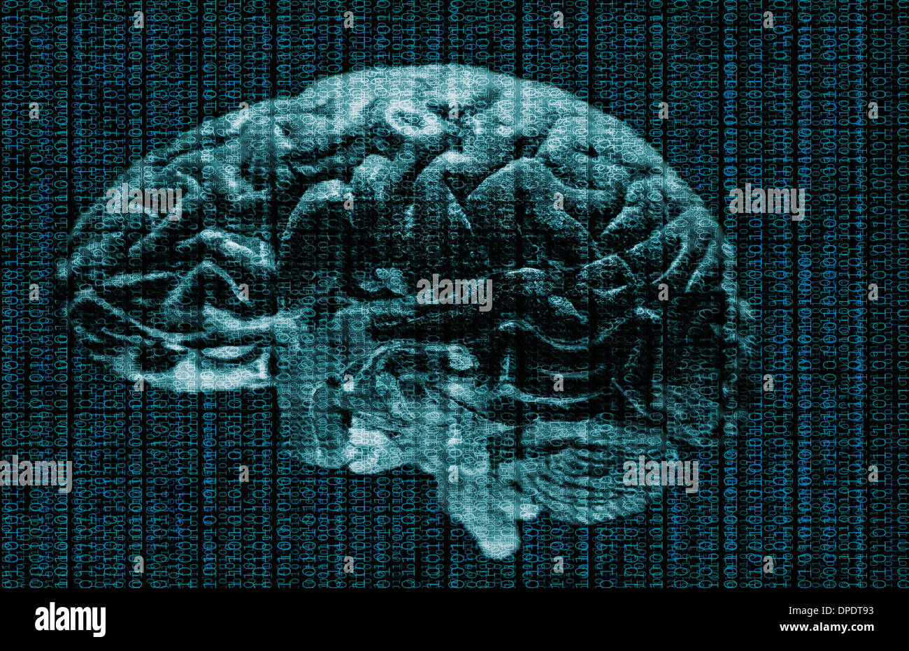 Studioaufnahme des Gehirns und Daten Stockfoto