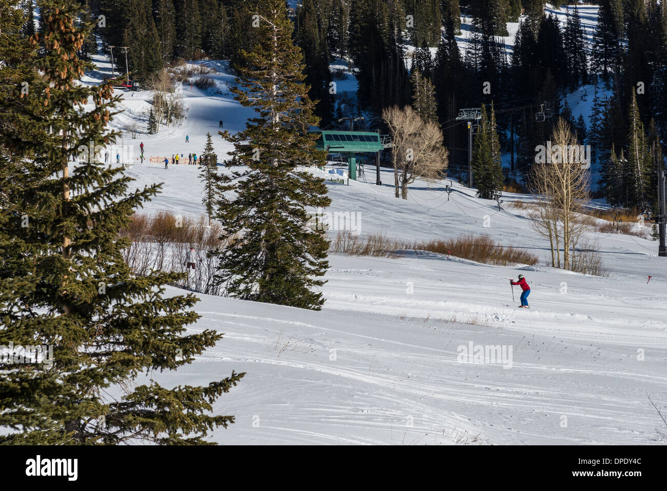 Ein Skifahrer im Alta Ski Resort. Utah, USA. Stockfoto