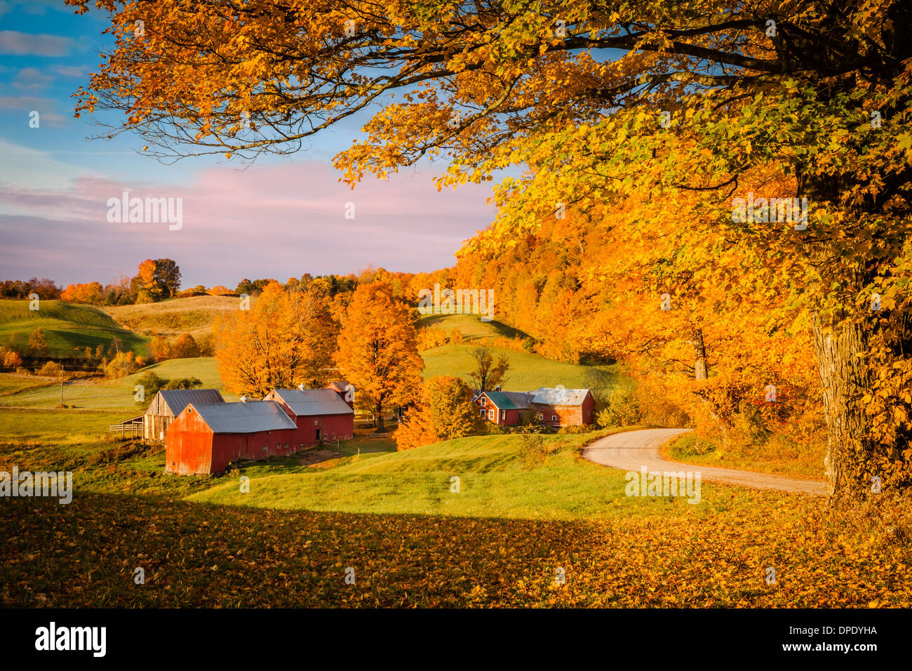 Herbstlichen Morgendämmerung am Jenne-Farm in der Nähe von South Woodstock, Vermont, USA Stockfoto