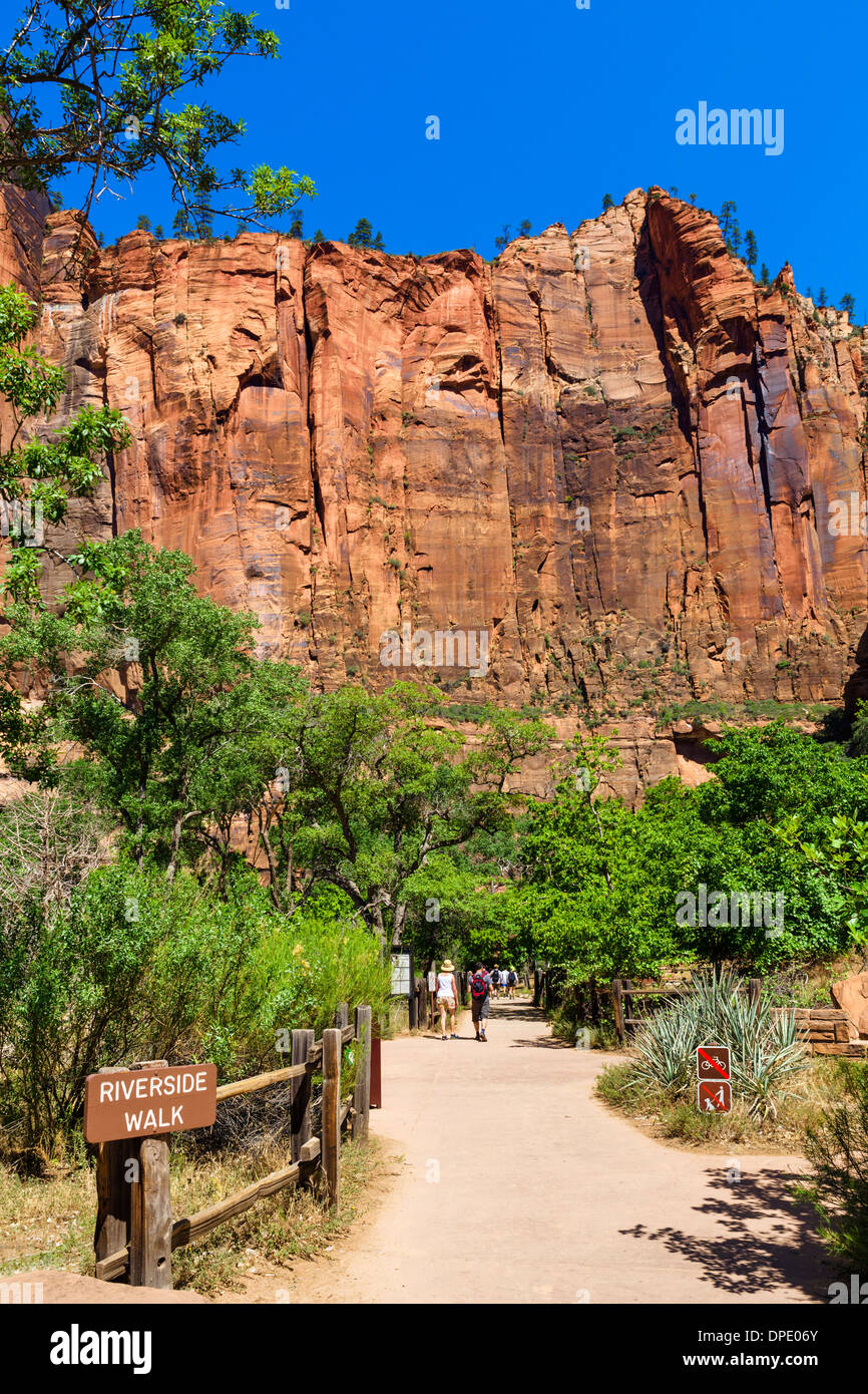 Wanderer auf der Riverside Walk am Temple of Sinawava, Zion Canyon, Zion Nationalpark, Utah, USA Stockfoto