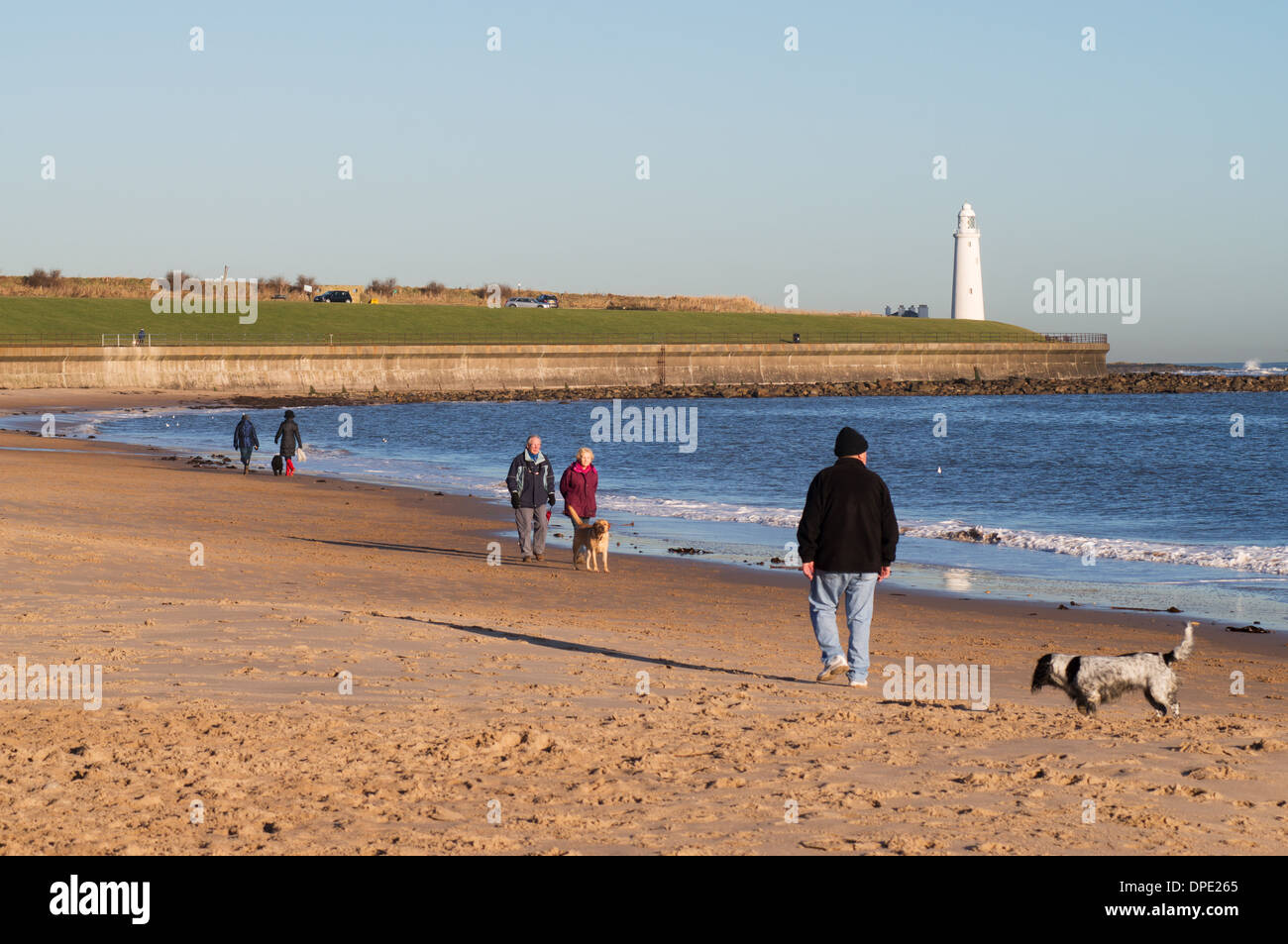 Menschen, die Hunden spazieren entlang des Strandes in Whitley Bay mit Str. Marys Insel in den Hintergrund-Nord-Ost England UK Stockfoto