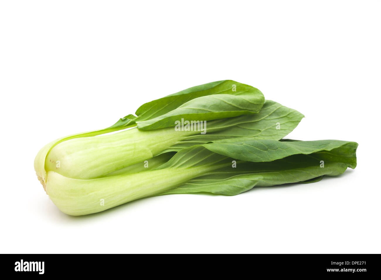 Pechay auf weißem Hintergrund Stockfoto