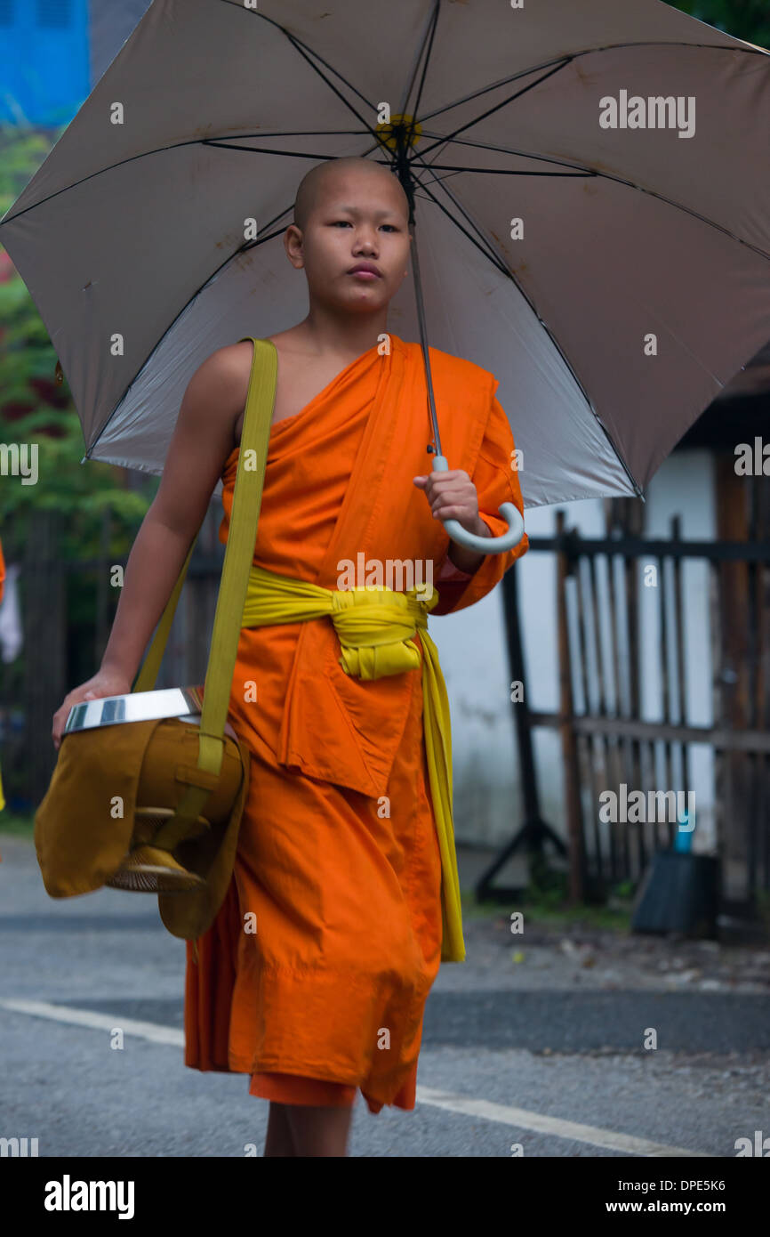 Mönch mit Regenschirm auf morgen Almen rund, Luang Prabang, Laos Stockfoto