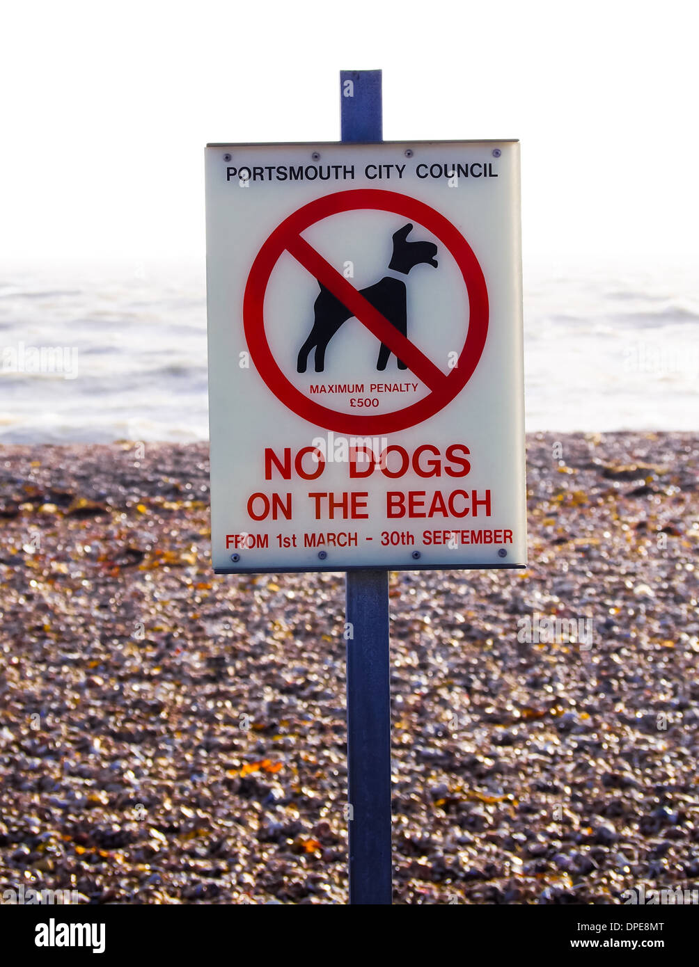 Ein Schild am Southsea Seafront, Portsmouth, England erklärte, dass Hunde am Strand in der Hauptsaison nicht erlaubt sind Stockfoto