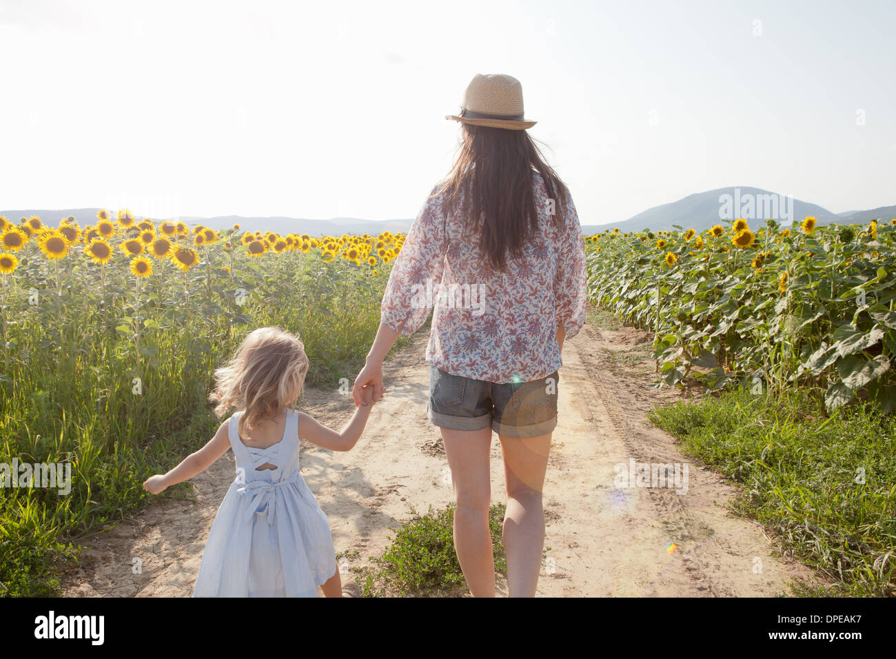 Mutter und Tochter ein Spaziergang durch Feld von Sonnenblumen Stockfoto