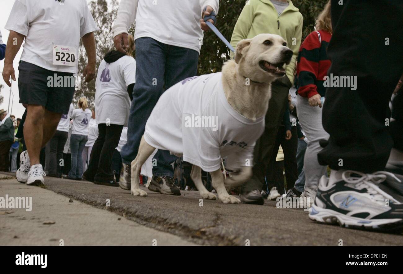 (Veröffentlicht am 14.11.2004, b-1: 2,3; UTS1844218) mehr als 1.000 Babys, Erwachsene, Kinder und Hunde gingen in der 14. jährlichen Memory Walk, die an durch das San Diego Kapitel der Alzheimer Association in Balboa Park.UT/DON KOHLBAUER Stockfoto