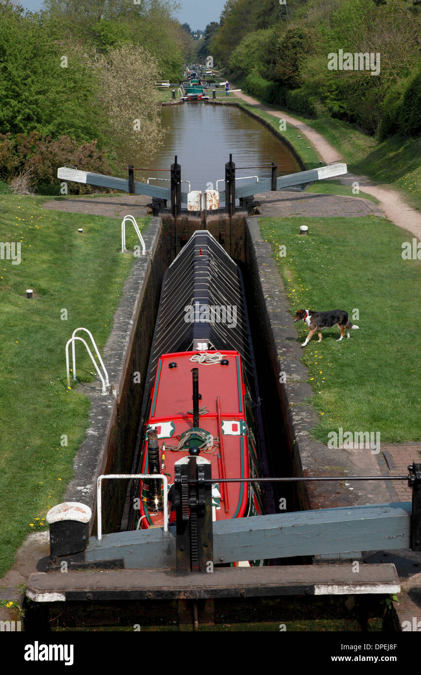 Eine traditionelle Arbeiten Narrowboat Lock 8 der Audlem Flug von Sperren auf die Shropshire Union Canal Stockfoto