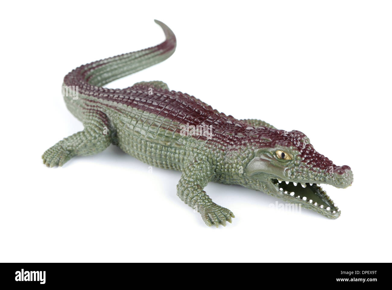 Kautschuk-Spielzeug-Krokodil auf einem weißen Hintergrund Stockfoto