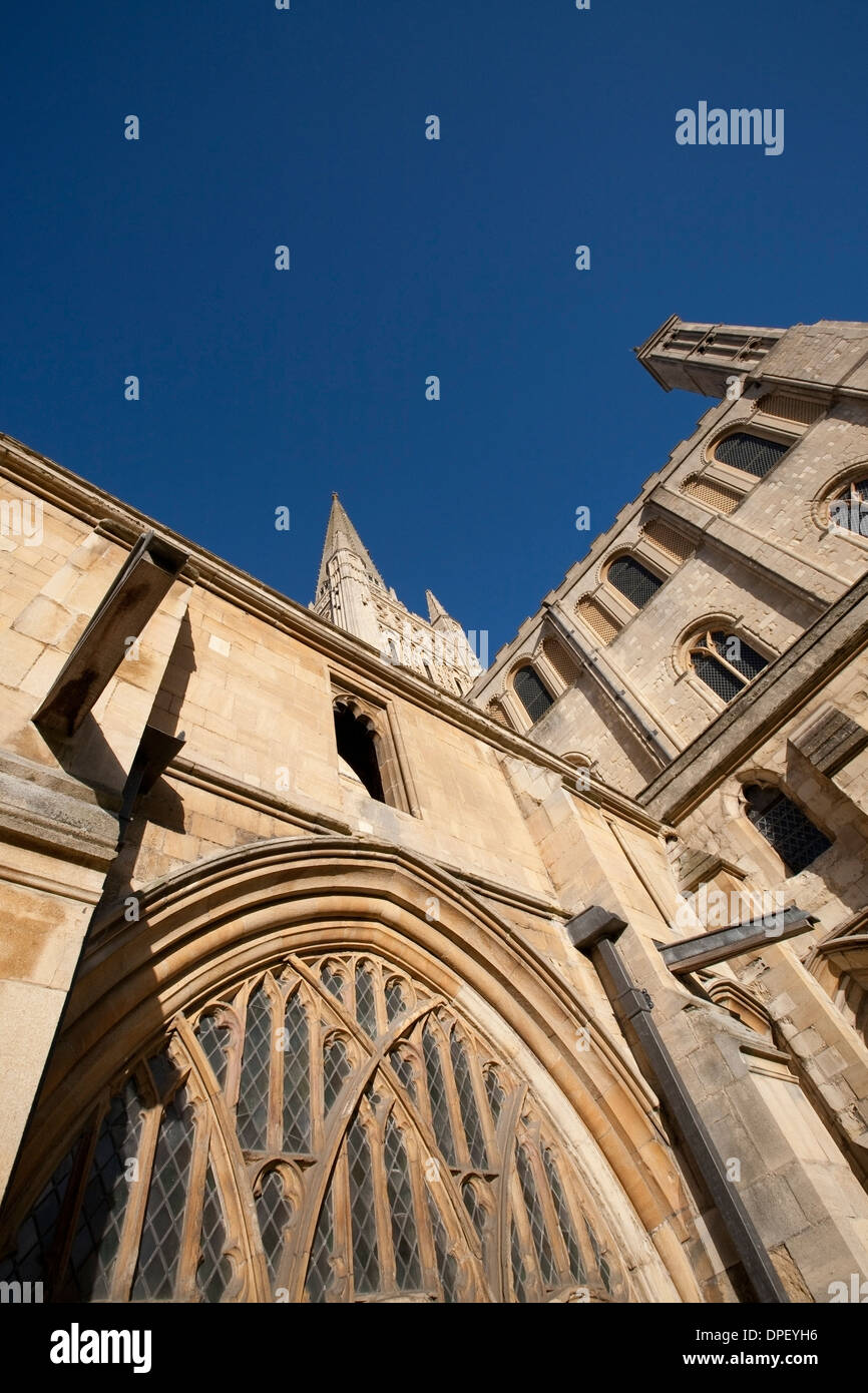 Norwich Kathedrale Norfolk Stockfoto
