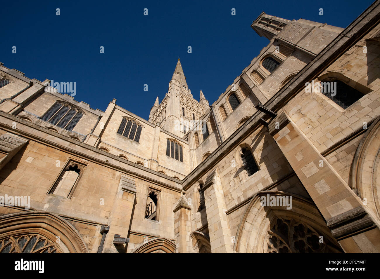 Norwich Kathedrale Norfolk Stockfoto