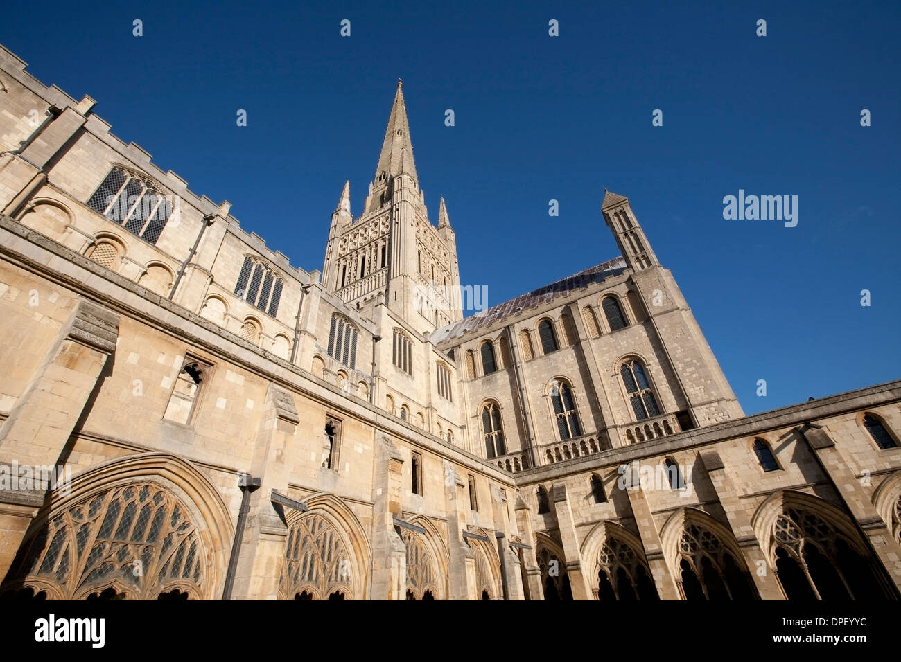 Norwich Kathedrale Norfolk Stockfoto