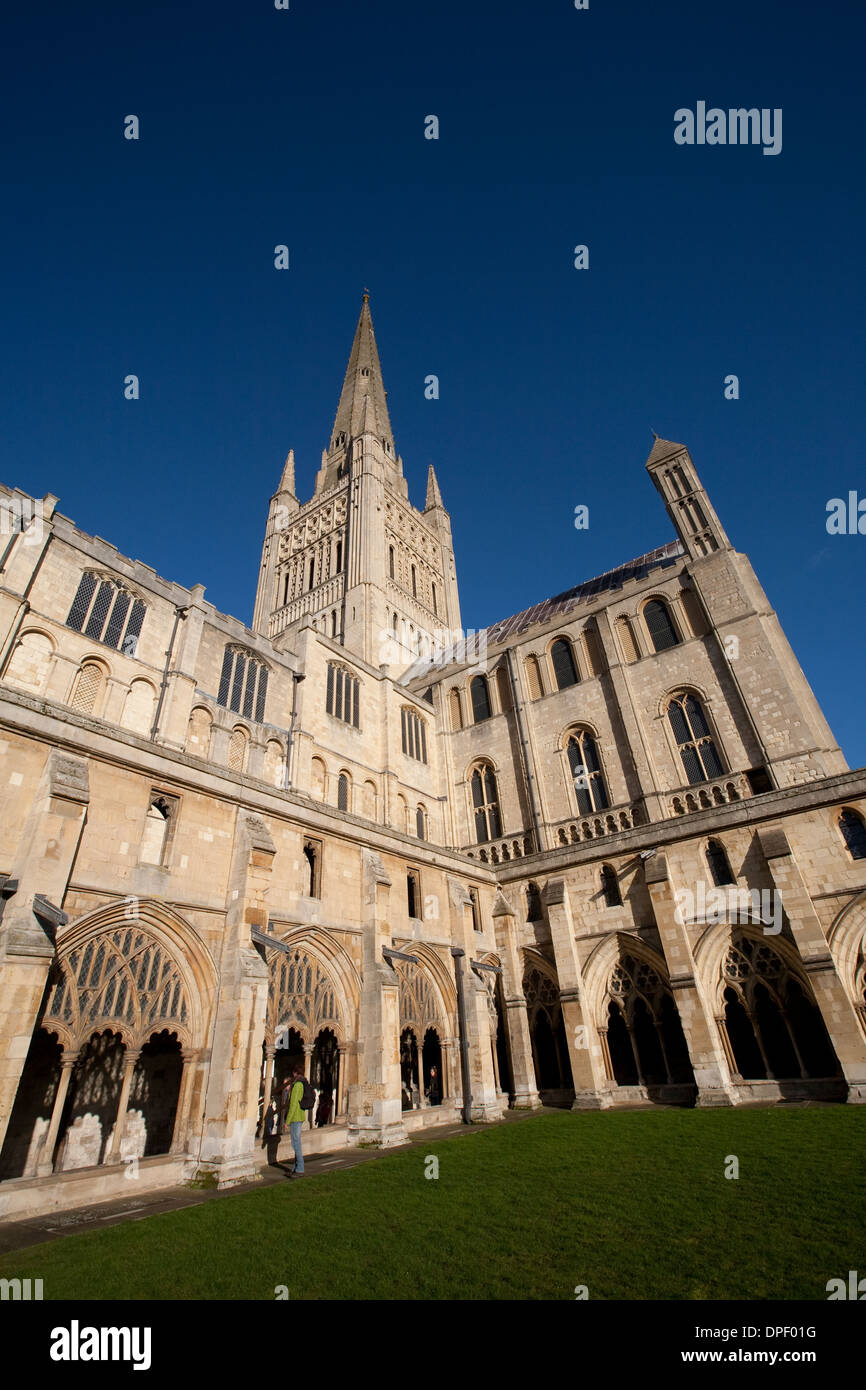 Norwich Kathedrale Norfolk Stockfoto
