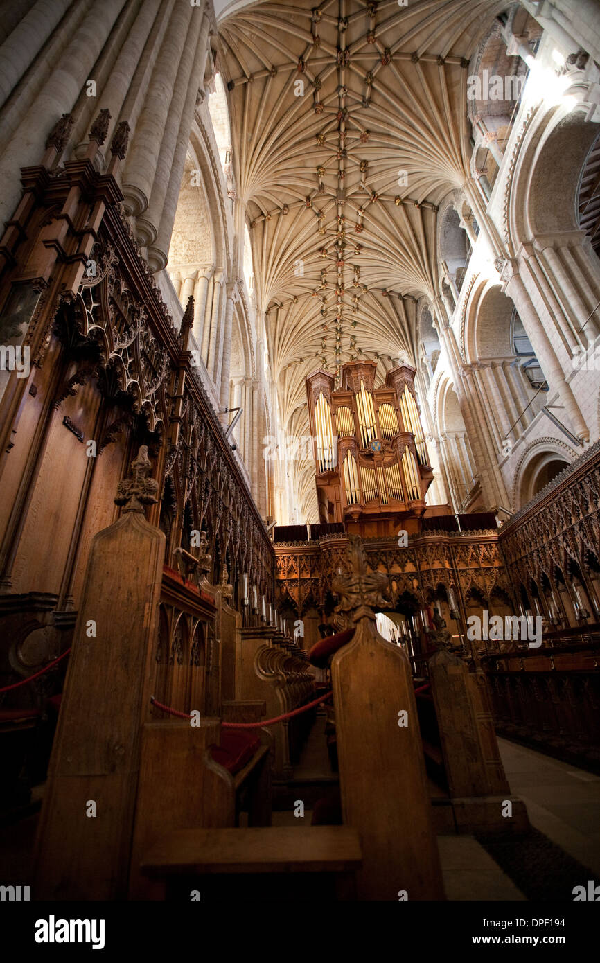 Norwich Kathedrale Norfolk Stockfoto