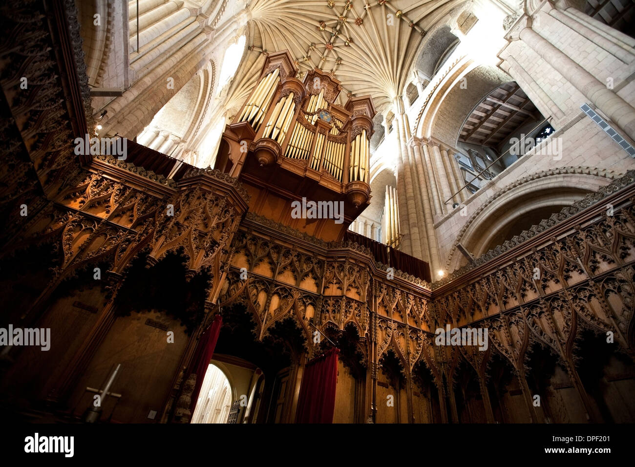 Norwich Kathedrale Norfolk Stockfoto