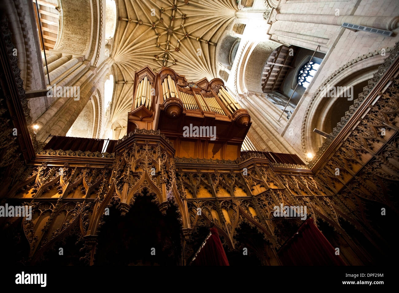 Norwich Kathedrale Norfolk Stockfoto