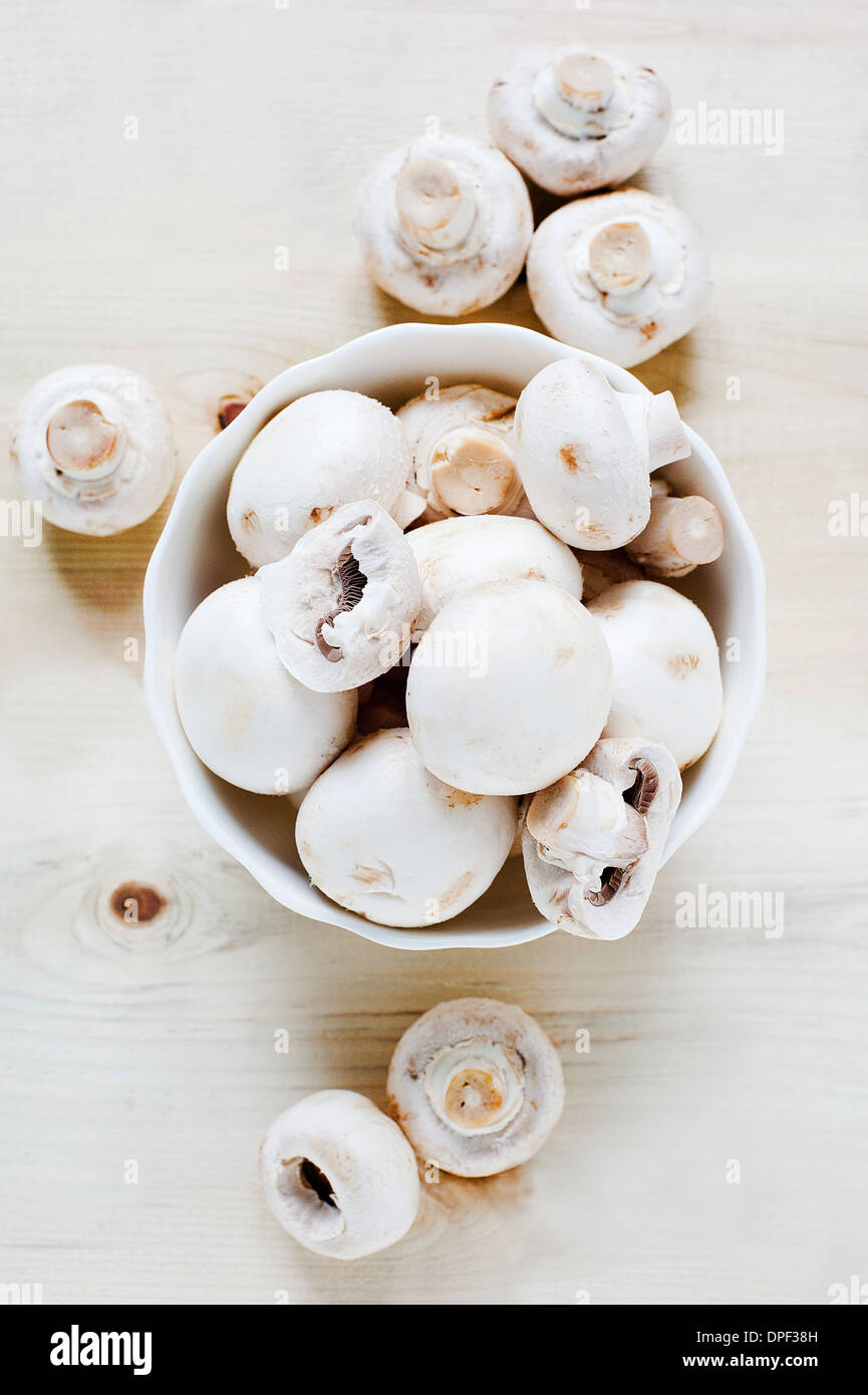 Schüssel mit Champignons Stockfoto