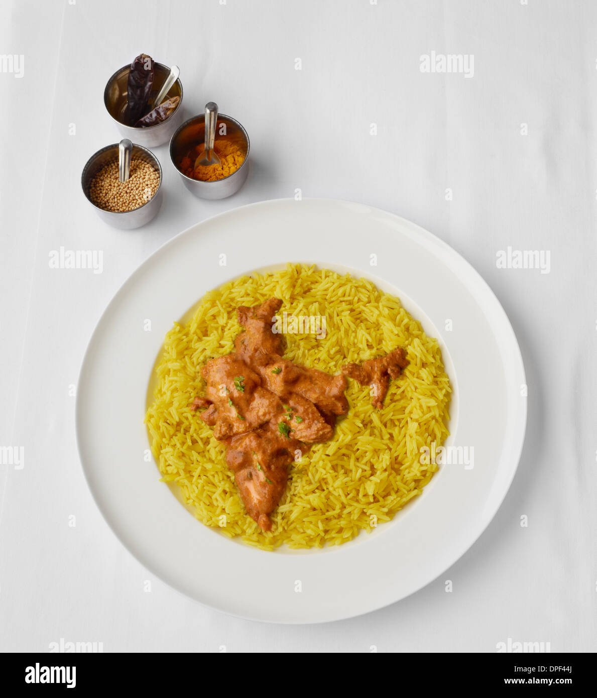 Chicken Tikka Massala in Form von Indien Stockfoto