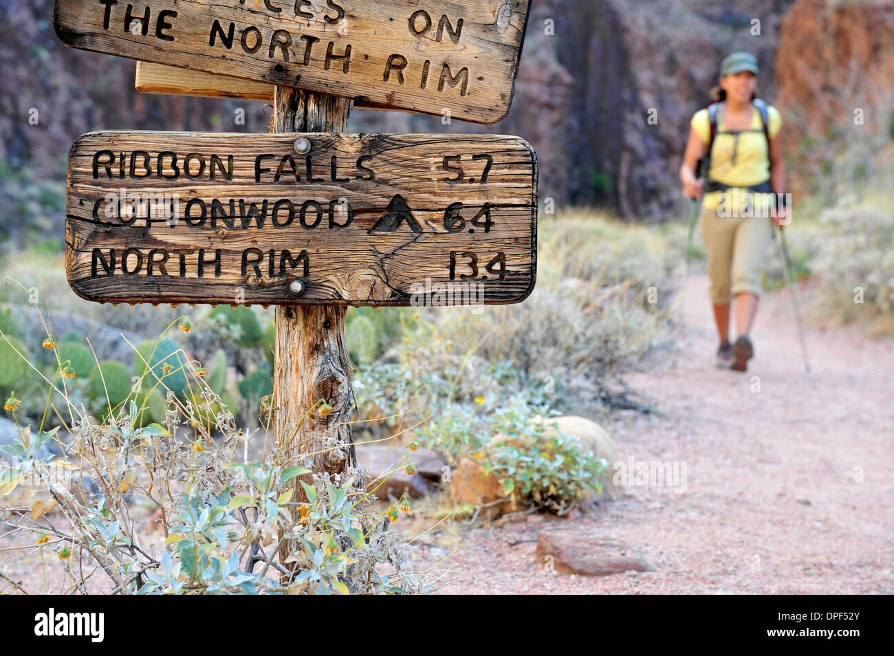 Weibliche Wanderer und rustikalen Zeichen, Grand Canyon, Flagstaff, Arizona, USA Stockfoto