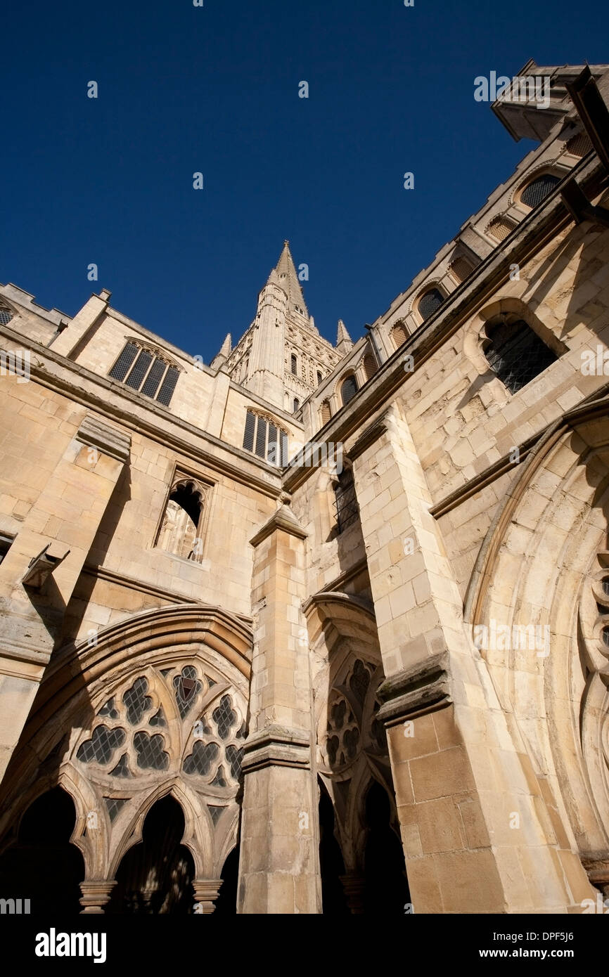 Norwich Kathedrale Norfolk Stockfoto