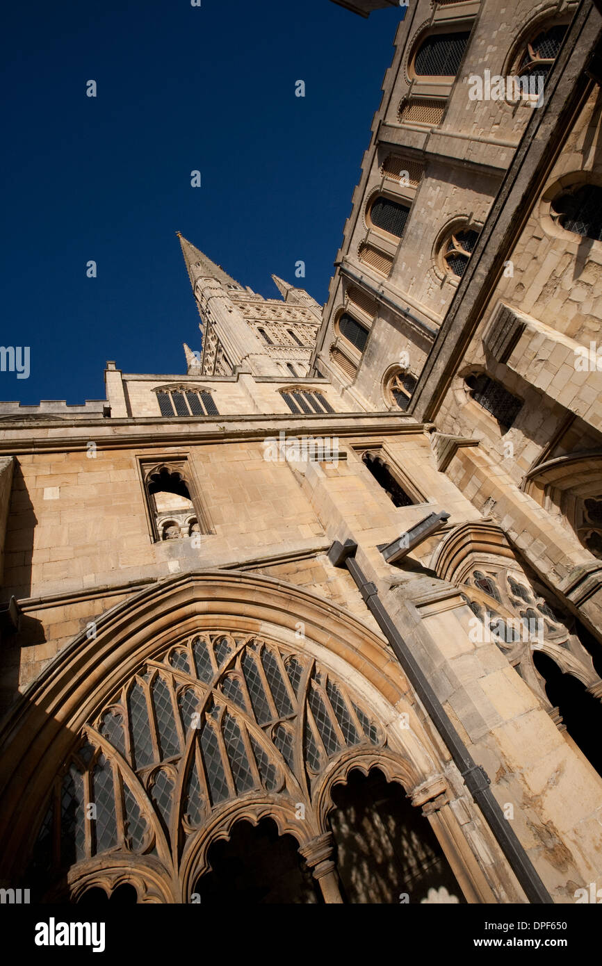Norwich Kathedrale Norfolk Stockfoto