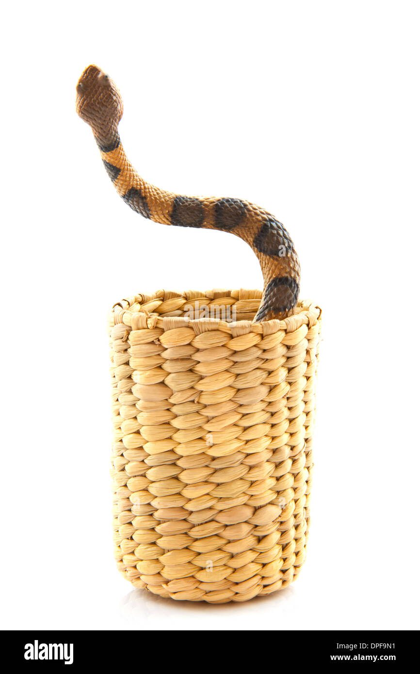 Schlange im Korb isoliert auf weißem Hintergrund Stockfotografie - Alamy