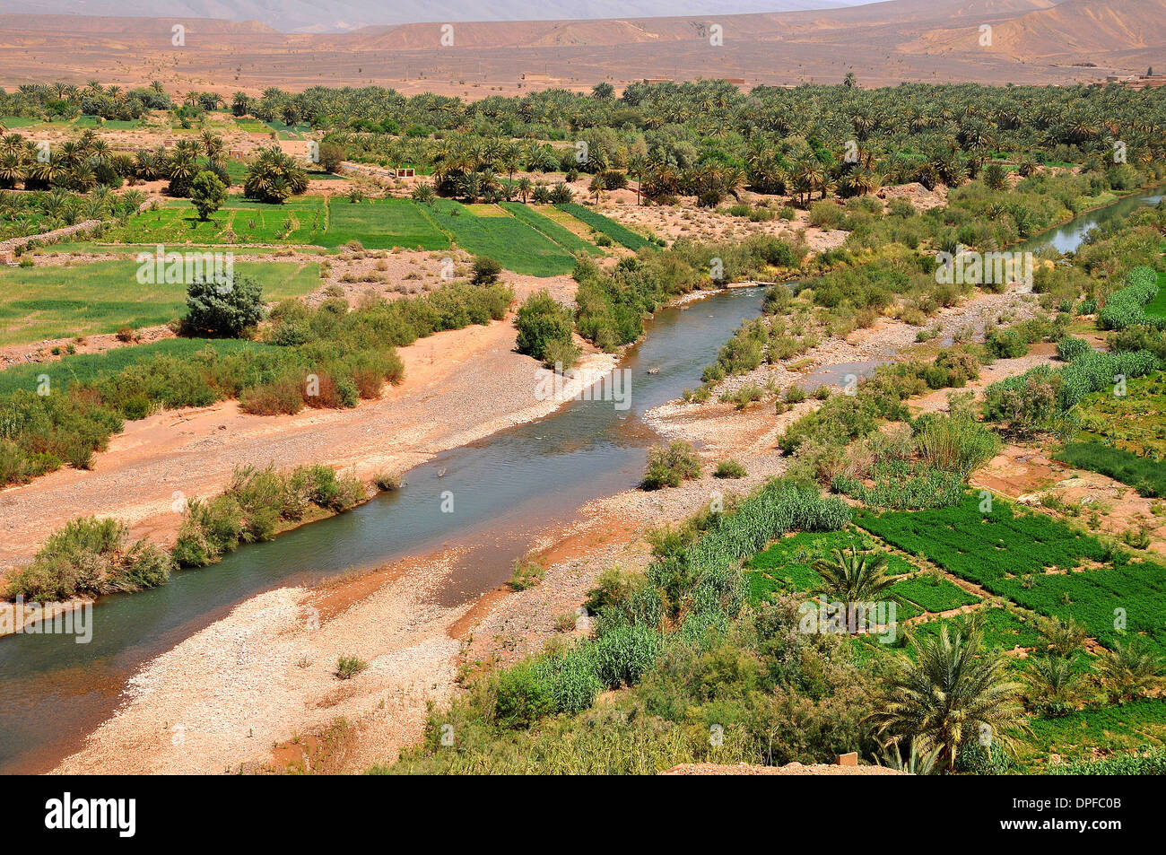 Landschaft der Draa-Tal, südlich von Ouarzazate und Agdz im Süden von Marokko, Nordafrika, Afrika Stockfoto