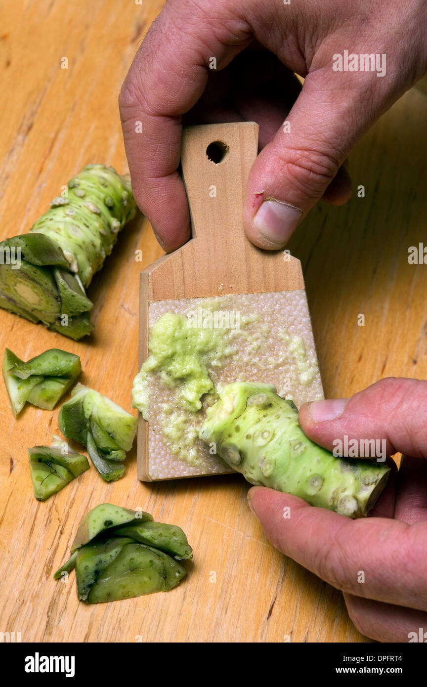 Wasabi wächst in Quellwasser mit produzieren Manager James Haerper DESUNTERNEHMENS Wasabi, Dorset, Großbritannien Stockfoto