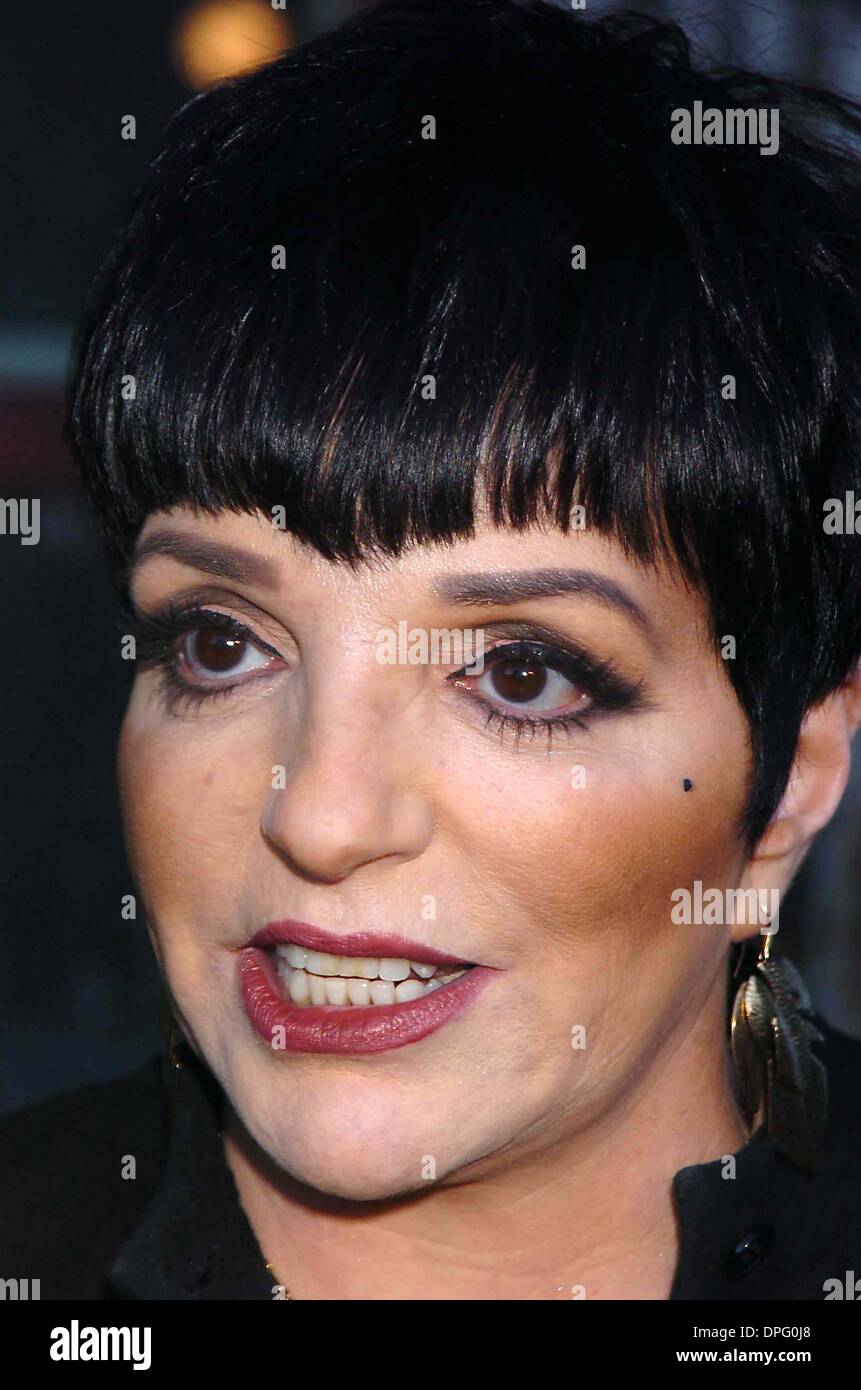 16. Juni 2006 - New York, New York, US - K48329JKRON. 14. ANNUAL AMERICAN SOCIETY OF JUNGE MUSIKER AUSZEICHNUNGEN ZEIGEN HOUSE OF BLUES, WEST HOLLYWOOD, CA 13.06.2006.  -2006.LIZA MINNELLI (Kredit-Bild: © John Krondes/Globe Photos/ZUMAPRESS.com) Stockfoto