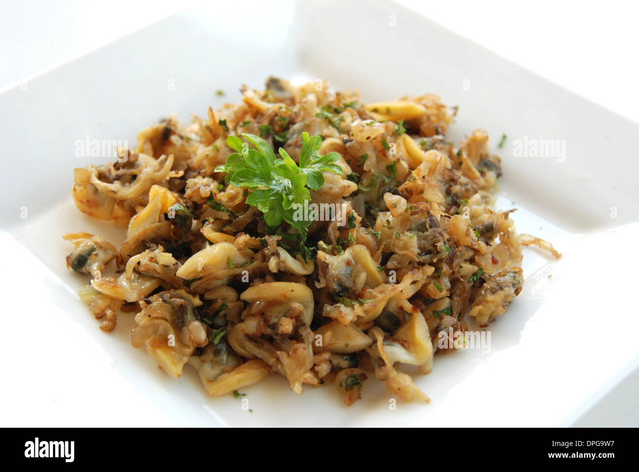 Gebratene Muscheln mit Knoblauch authentische asiatische Küche Stockfoto