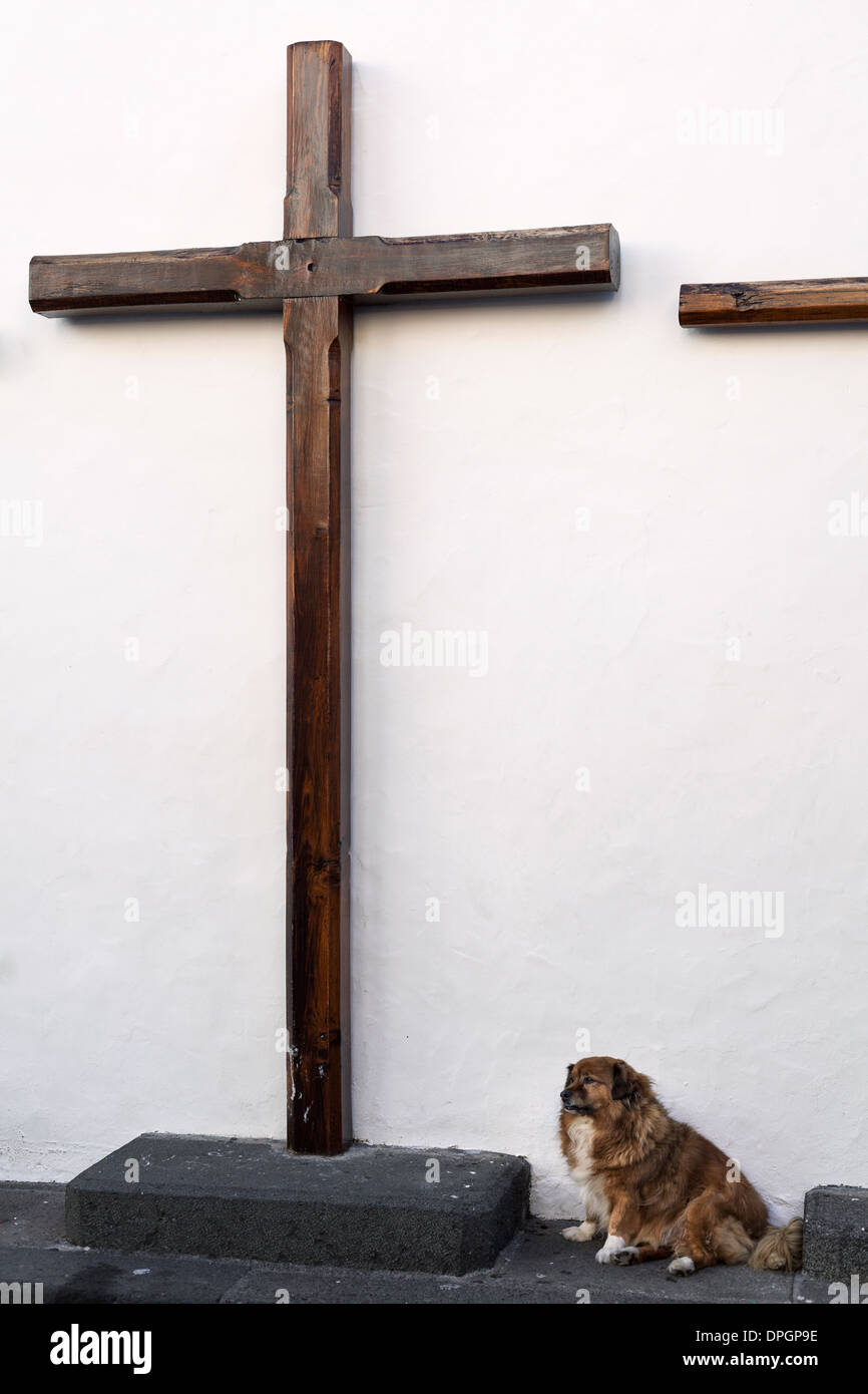 Hund saß von Kruzifix und weiße Wand in Los Llanos de Aridane in La Palma, Kanarische Inseln, Spanien Stockfoto