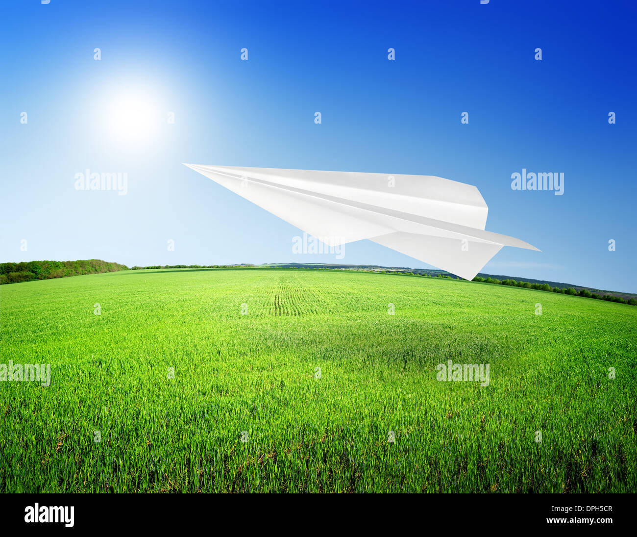 Bereich der Gras- und Papier Flugzeug. Perfekten blauen Himmel Stockfoto