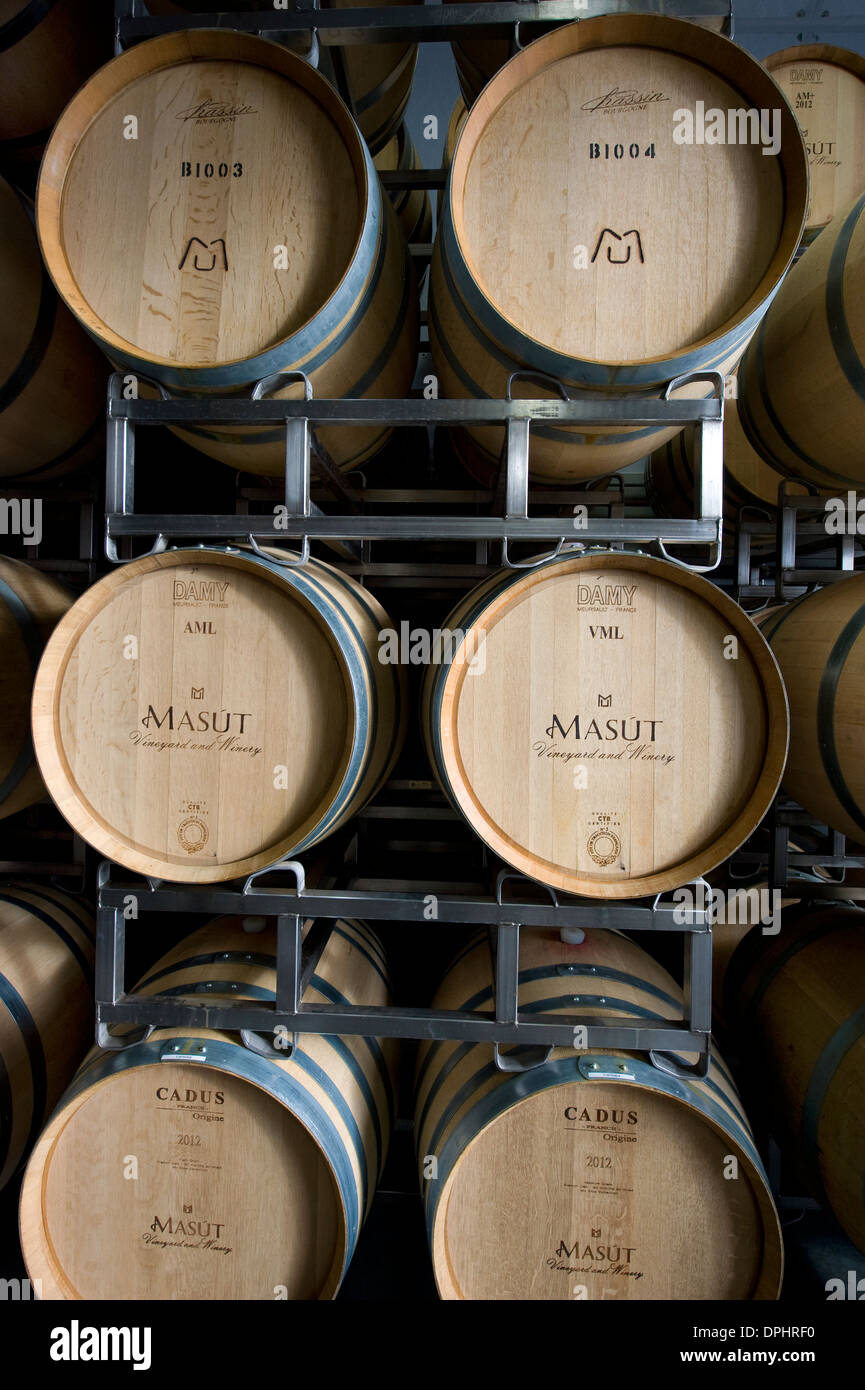 Masut Weingut in Mendocino County, Kalifornien Stockfoto