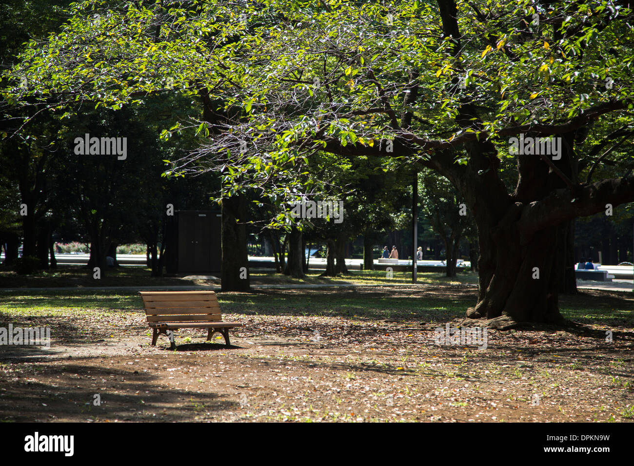 ein Stuhl im Yoyogi-Park Stockfoto