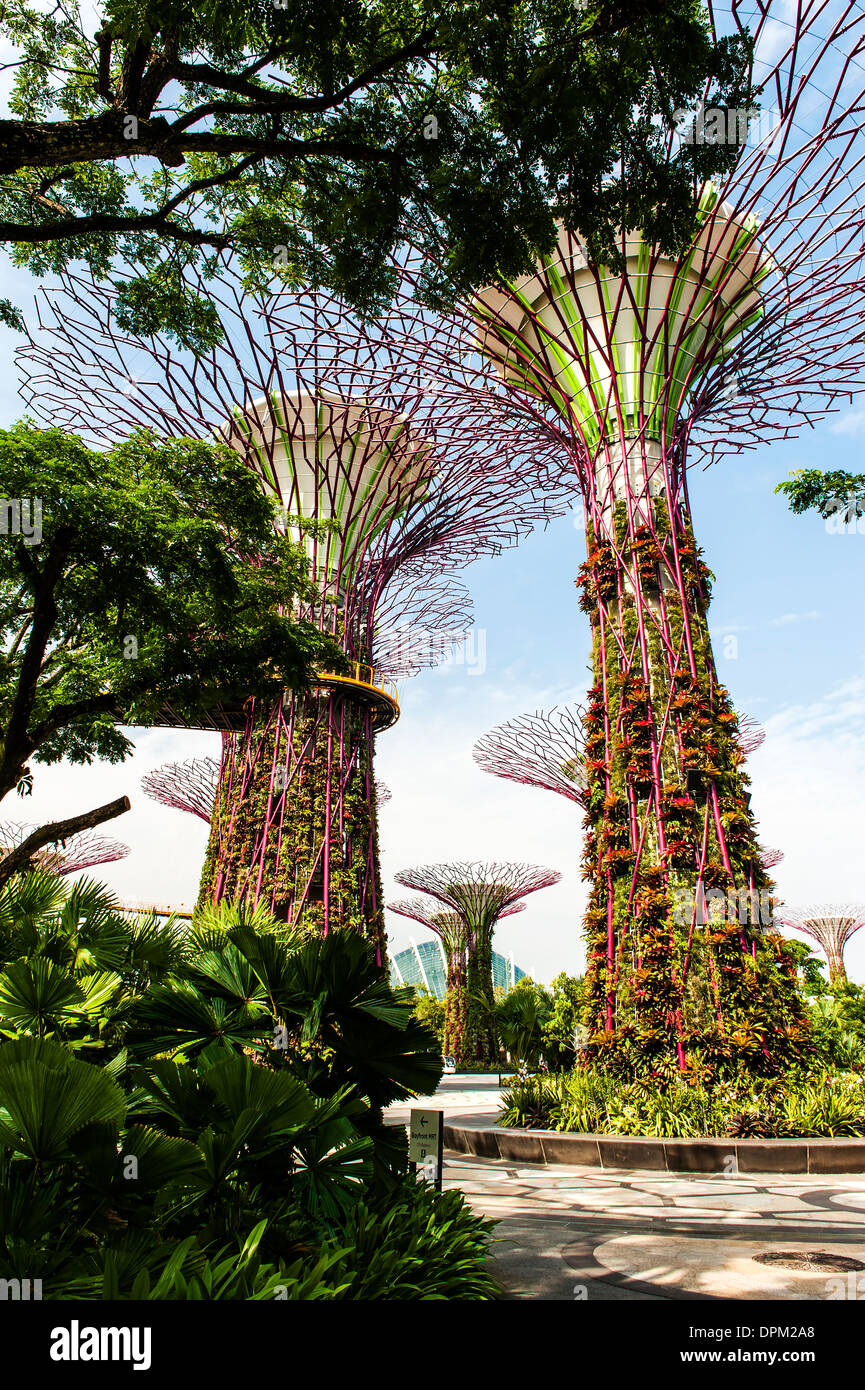 Solar-Bäume in den Gärten an der Bucht in Singapur. Die Solar Bäume im Hain Supertree wurden im Juni 2013 hinzugefügt. Stockfoto