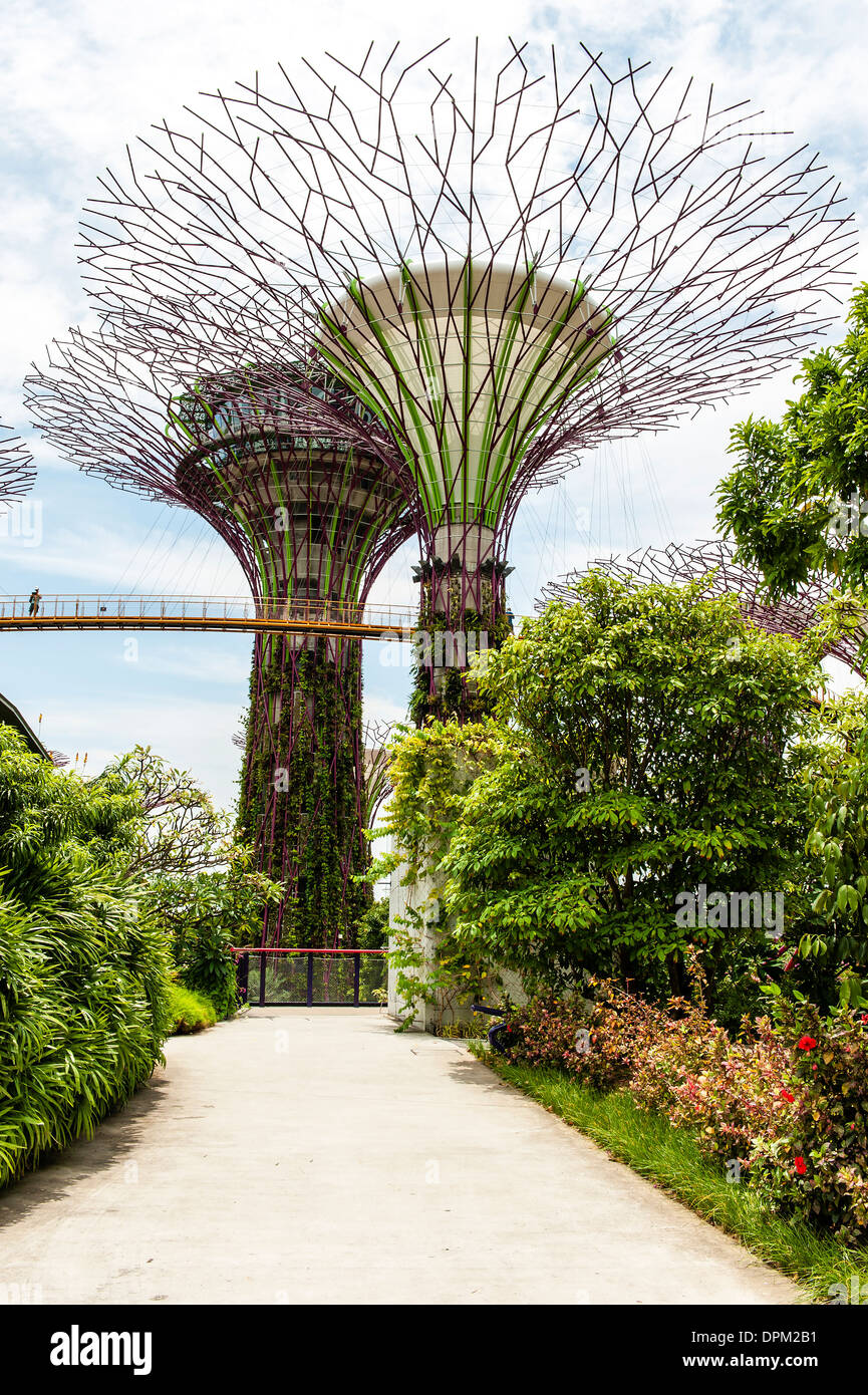 Solar-Bäume in den Gärten an der Bucht in Singapur. Die Solar Bäume im Hain Supertree wurden im Juni 2013 hinzugefügt. Stockfoto