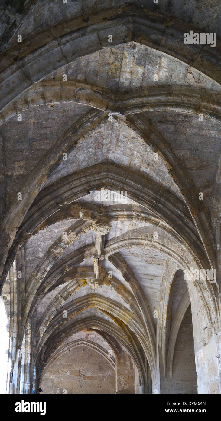 Narbonne Kathedrale Gewölbedecken. Stockfoto