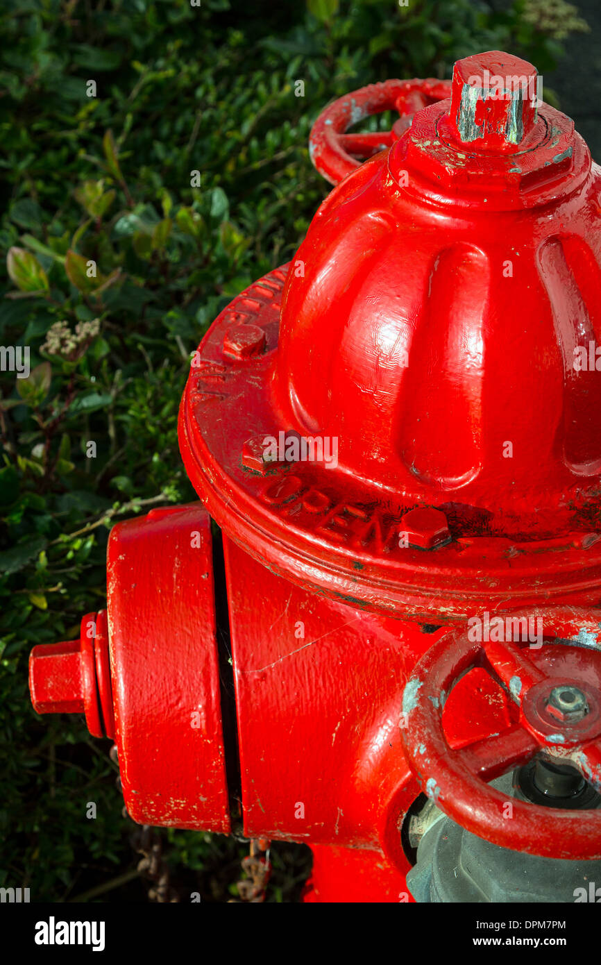 Feuer, Hydrant, rot, Hydranten, Feuer, Icon, Hintergrund, Bürgersteig, weiß, Schlauch, rot, Wasser, Straße, Metall, 3d, im Freien, isoliert, Departm Stockfoto