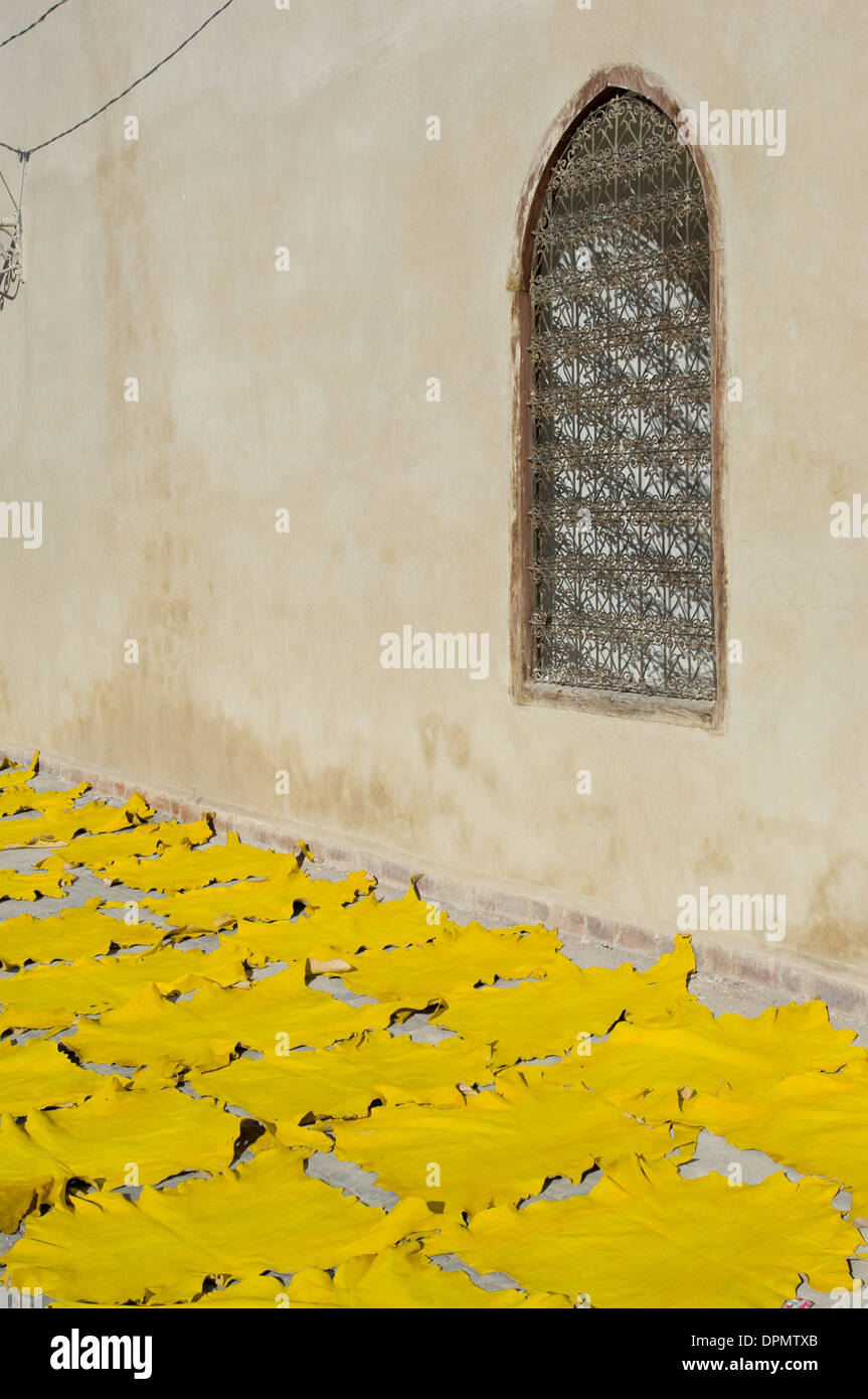 Gelb gefärbte Leder Felle Trocknung auf der Straße, in von der Ben Youssef Mosque in der Medina, Marrakesch, Marokko Stockfoto