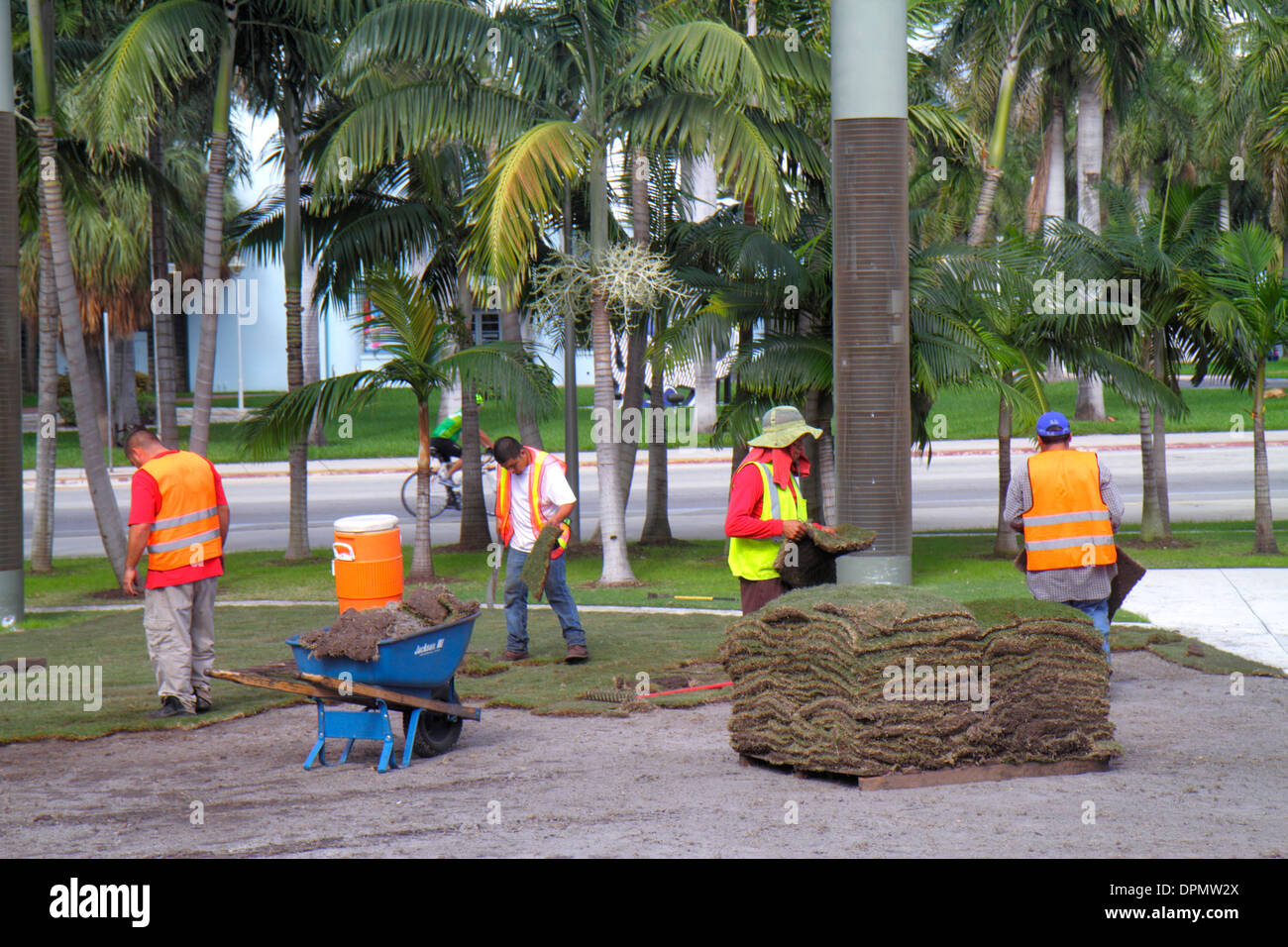 Miami Beach, Florida, Landschaftsbau, Crew, Arbeiter, hispanischer Mann, Männer, Sod, Gras, Liegen, neu, FL131231090 Stockfoto