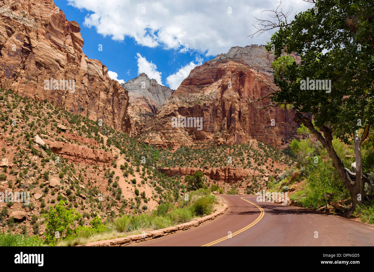 Zion-Mount Carmel Highway (SR 9), Zion Nationalpark, Utah, USA Stockfoto