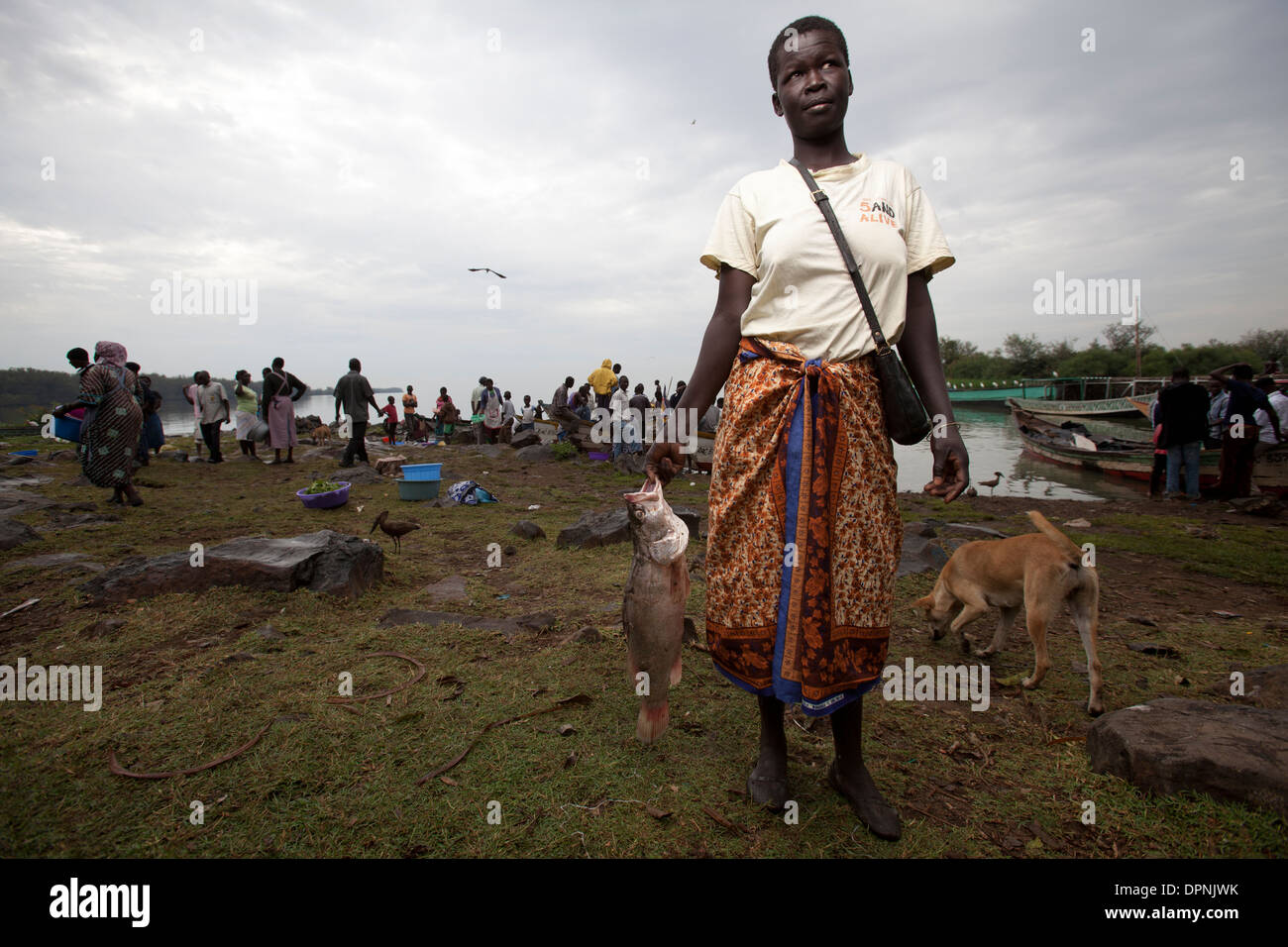 Frauen halten Nilbarsch (Lates Niloticus) Kisumu, Victoria-See, Kenia Stockfoto