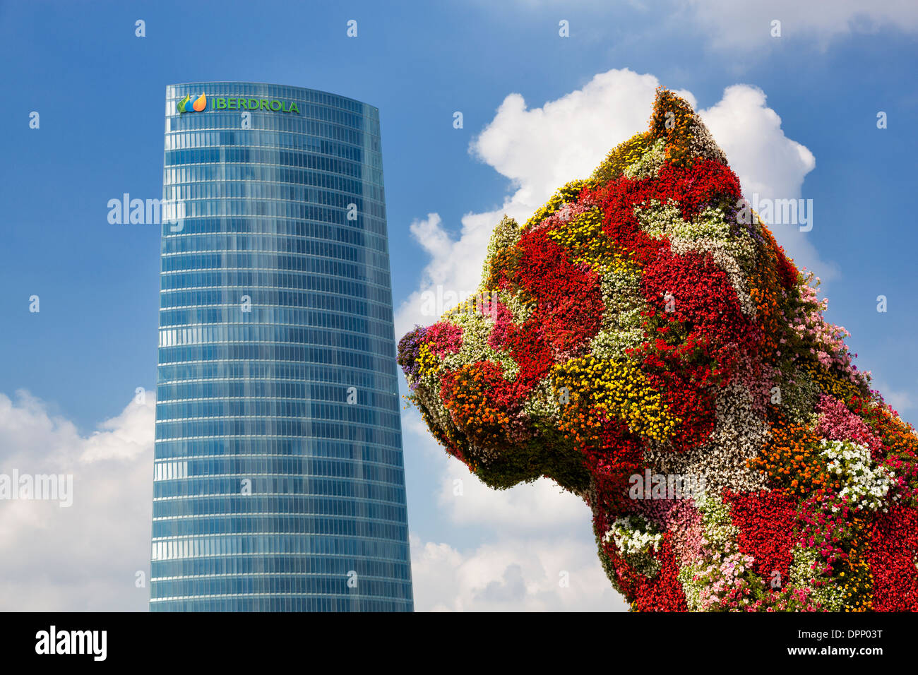 Großen floralen Hund 'Welpen' küssen der Iberdrola Wolkenkratzers Stockfoto