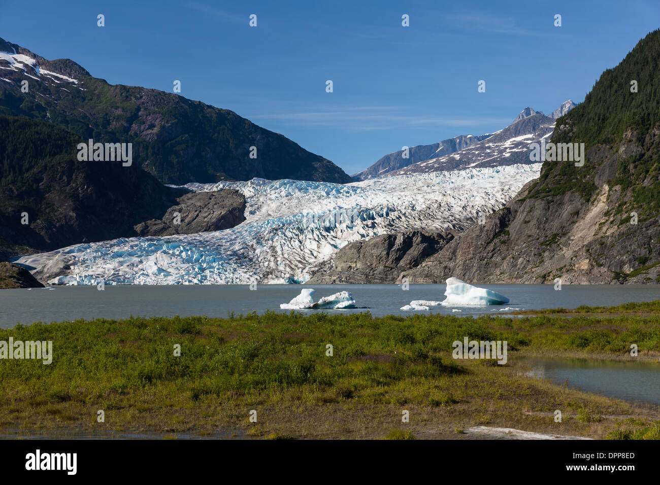 Mendenhall-Gletscher, Juneau, Alaska Stockfoto