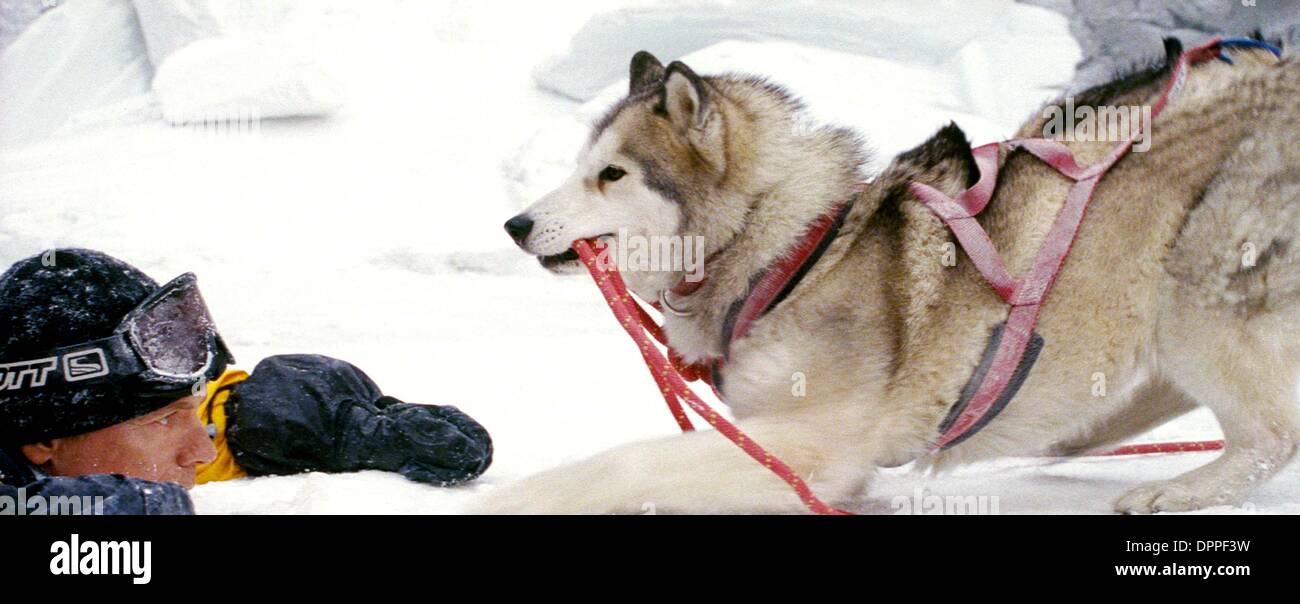26. Januar 2006 - '' acht unten ''. Von K46856 geliefert. Bruce Greenwood und Maya (Kredit-Bild: © Globe Photos/ZUMAPRESS.com) Stockfoto