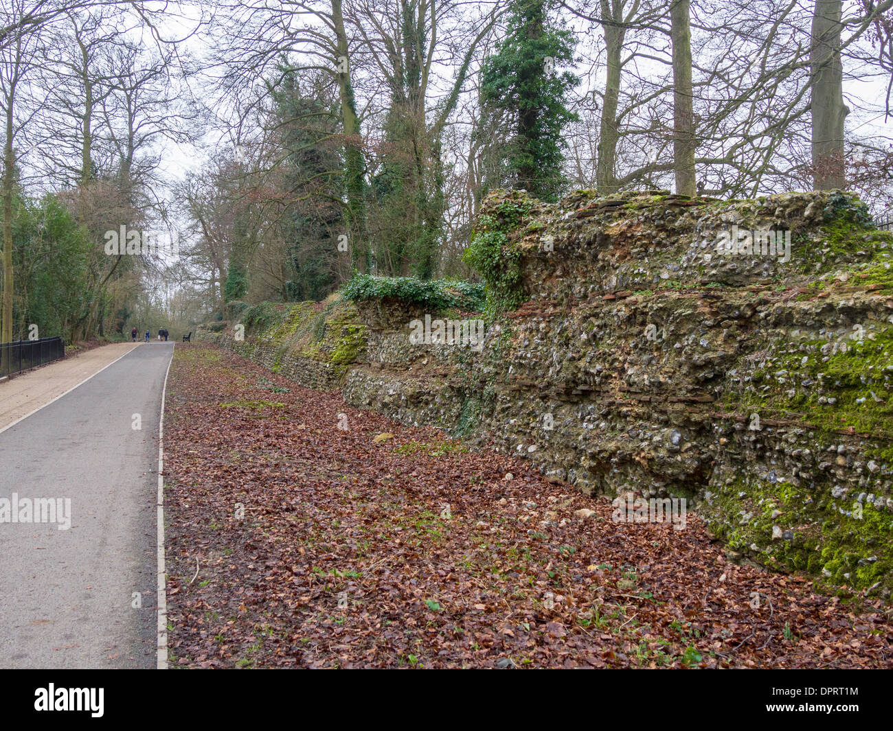 Wanderweg neben der römischen Mauer in Verulamium Park, St. Albans, Hertfordshire, Großbritannien. Stockfoto