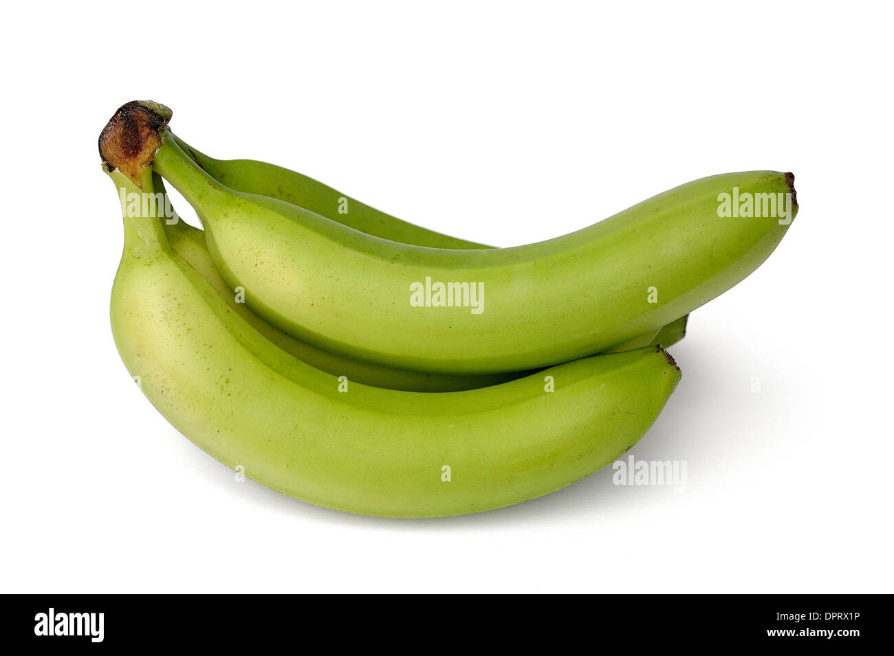 Eine Reihe von grünen Bananen Stockfoto