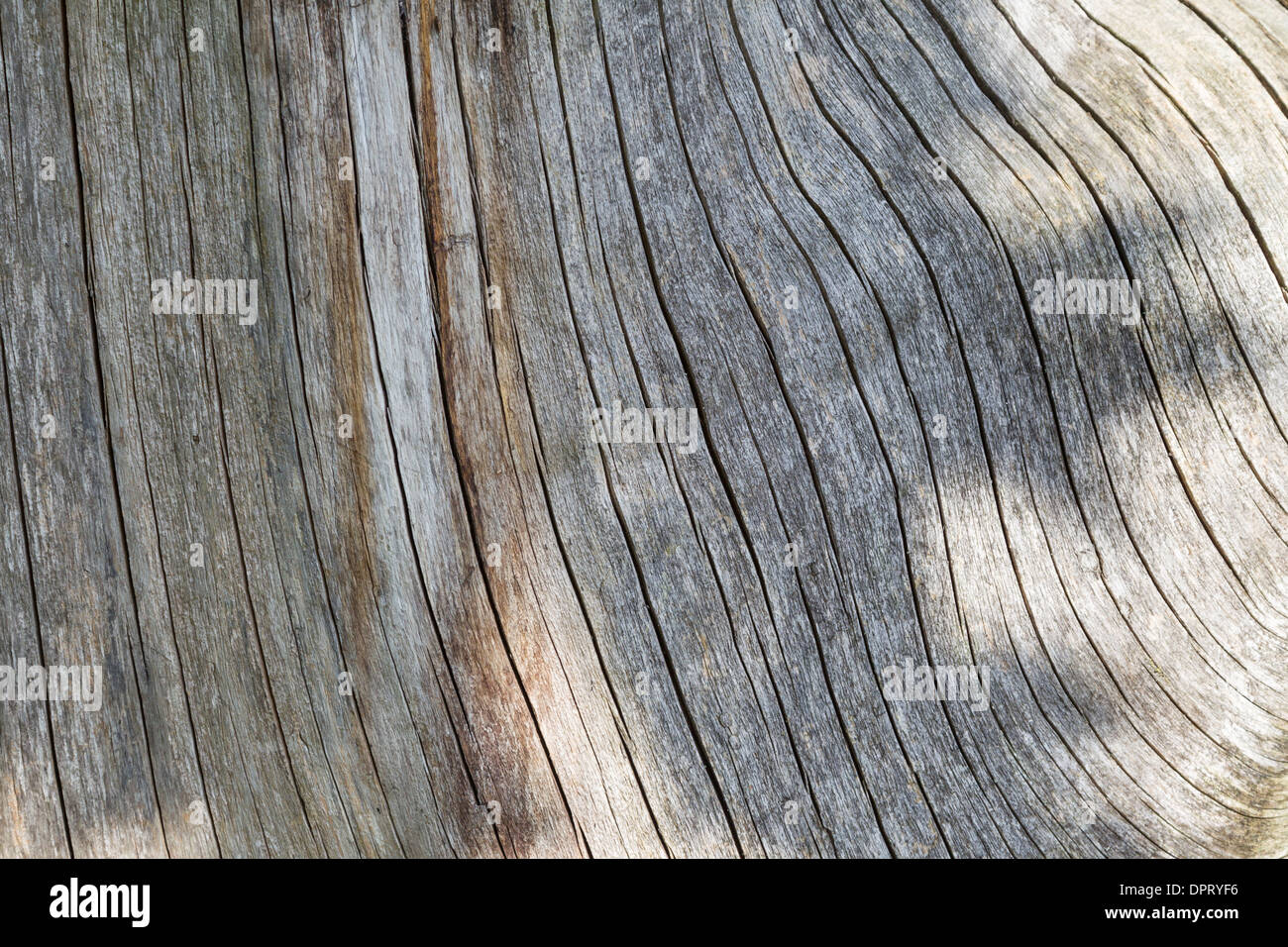 Holz Holzmaserung Braun Hintergrund Muster Totes Holz Holzmaserung Hintergrund braune Toten Stockfoto