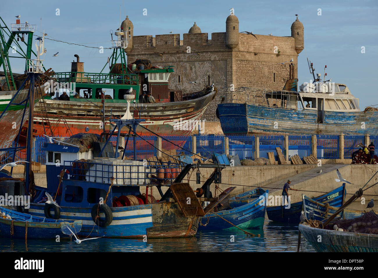 Marokko, Essaouira, der Fischerhafen und die Festung mit der Skala Stockfoto