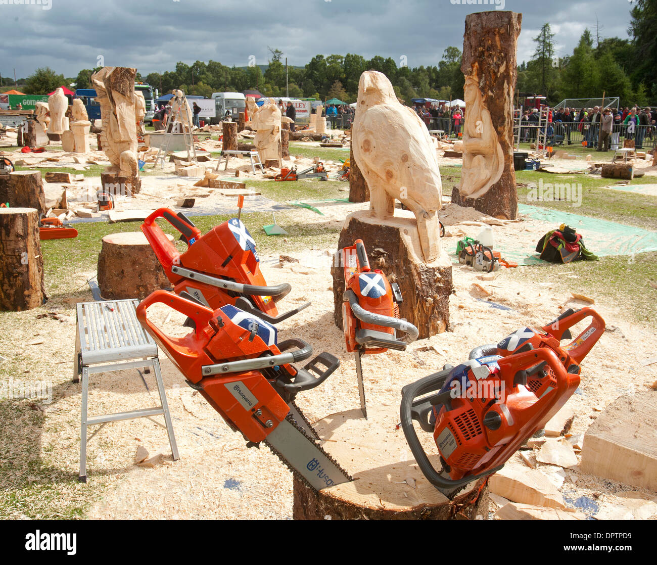 Carrbridge jährliche Chainsaw Holzschnitzerei Wettbewerb 2013.  SCO 9223. Stockfoto