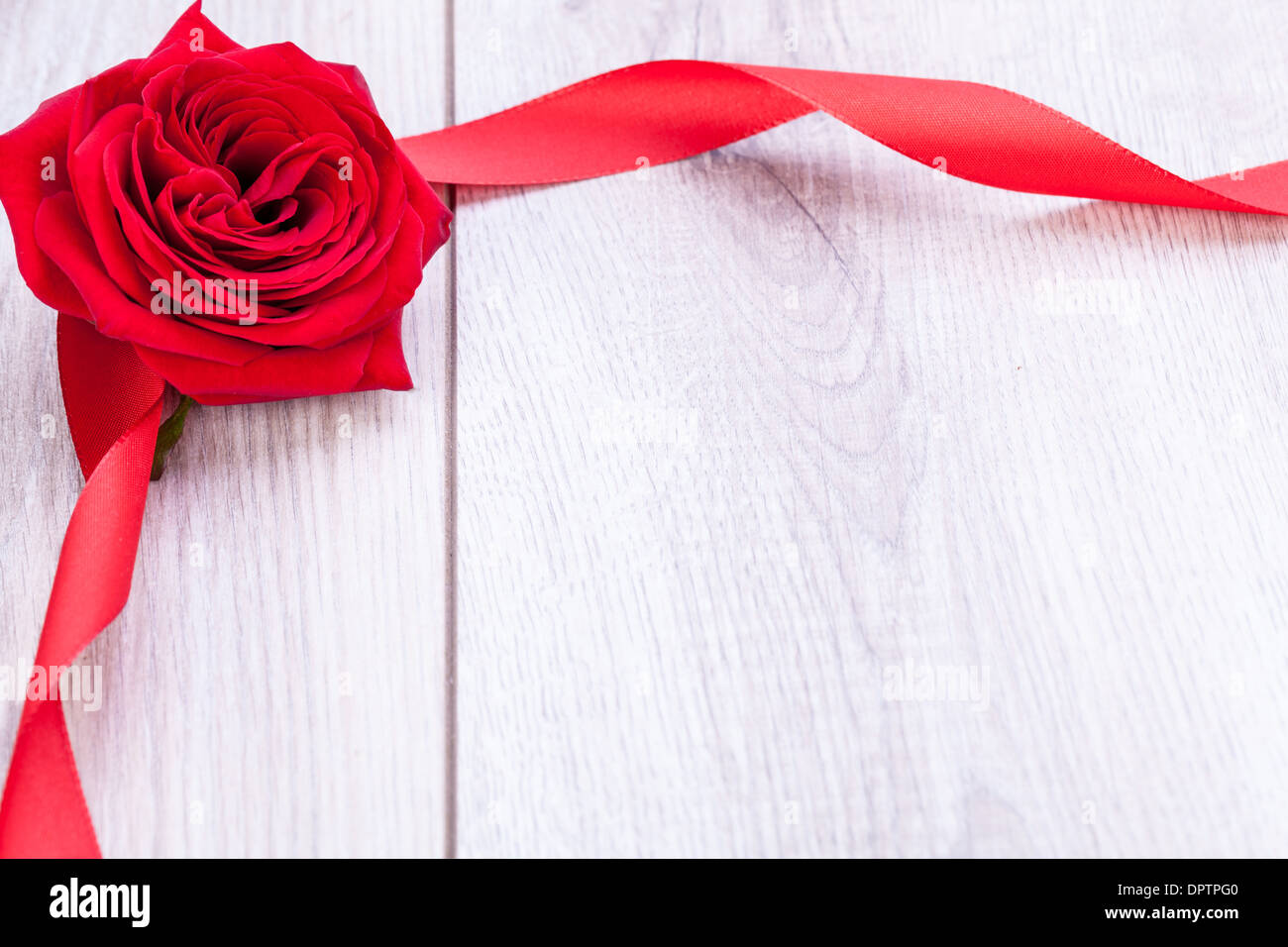 Bouquet von schöne frische rote Rosen mit einem gewendelten Band Rahmen isoliert auf weiss mit allerlei Exemplar für Ihre liebevolle Jubiläum oder Valentinstag Nachricht Stockfoto